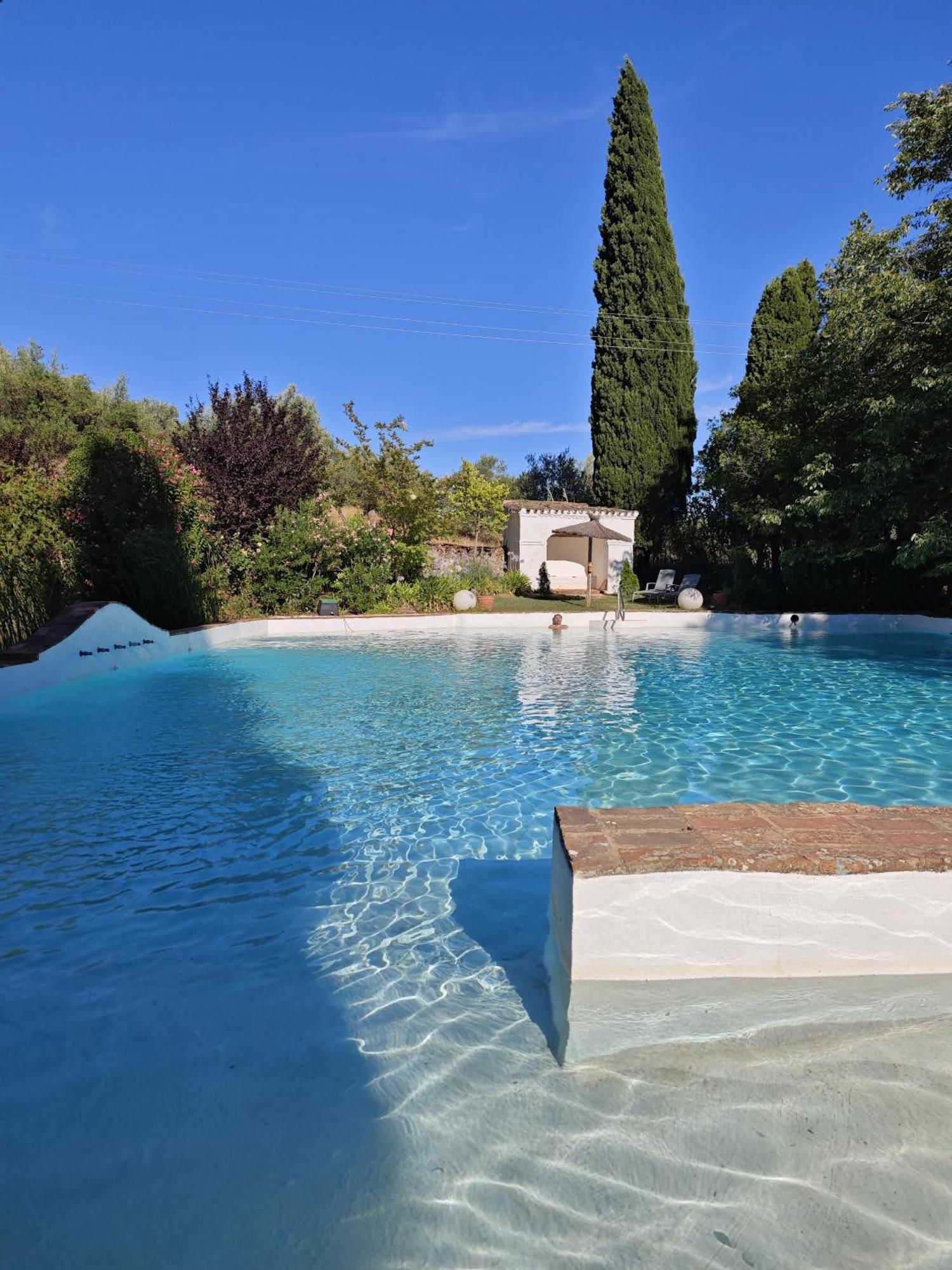 Finca La Favorita- Suites (Adults Only) Constantina Eksteriør billede