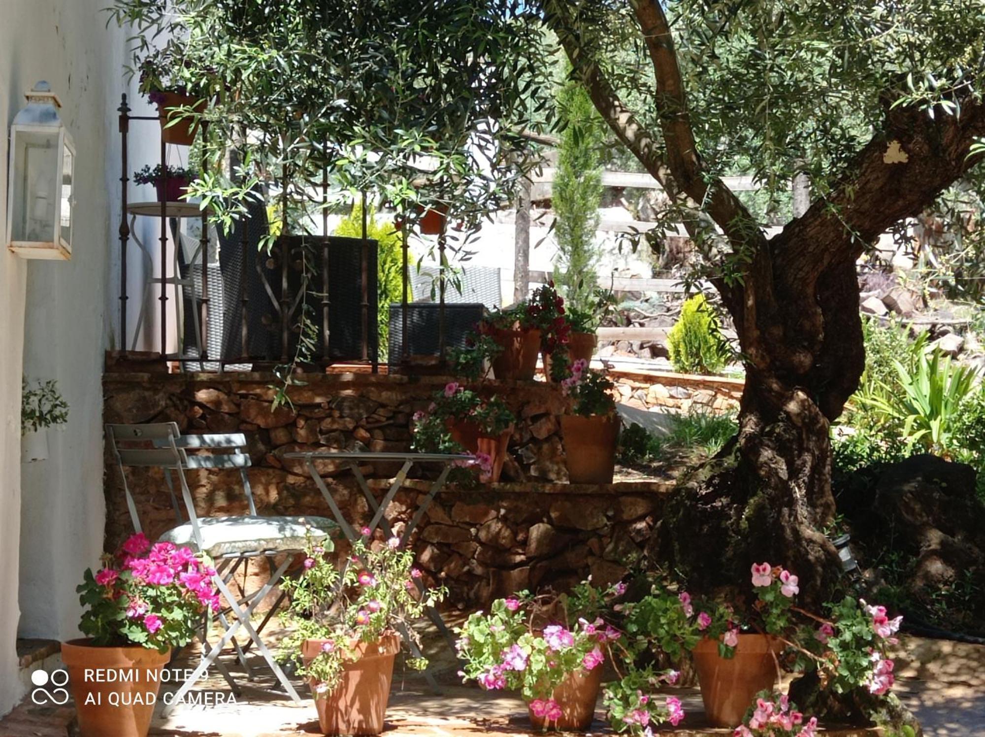 Finca La Favorita- Suites (Adults Only) Constantina Eksteriør billede