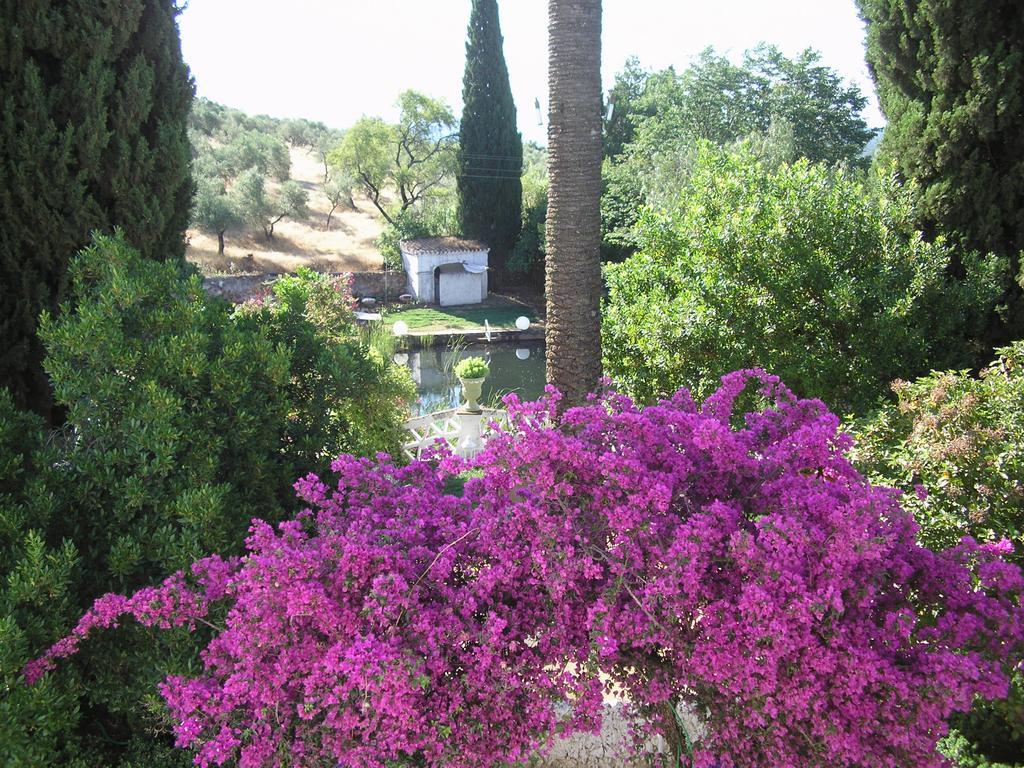 Finca La Favorita- Suites (Adults Only) Constantina Eksteriør billede