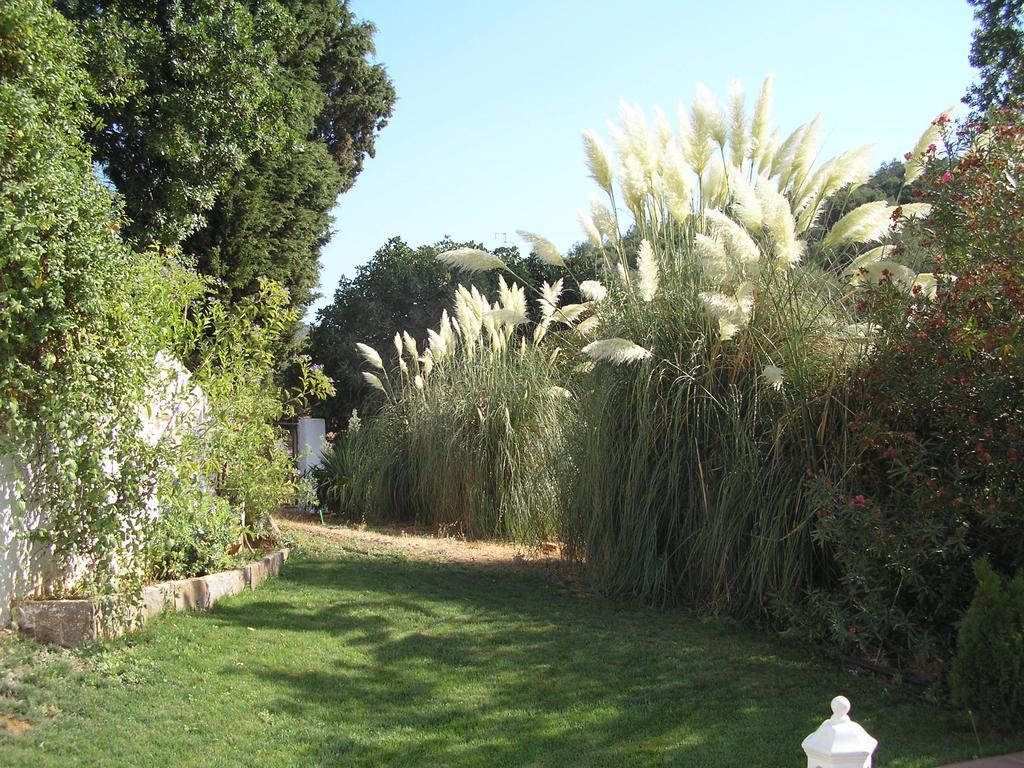 Finca La Favorita- Suites (Adults Only) Constantina Eksteriør billede