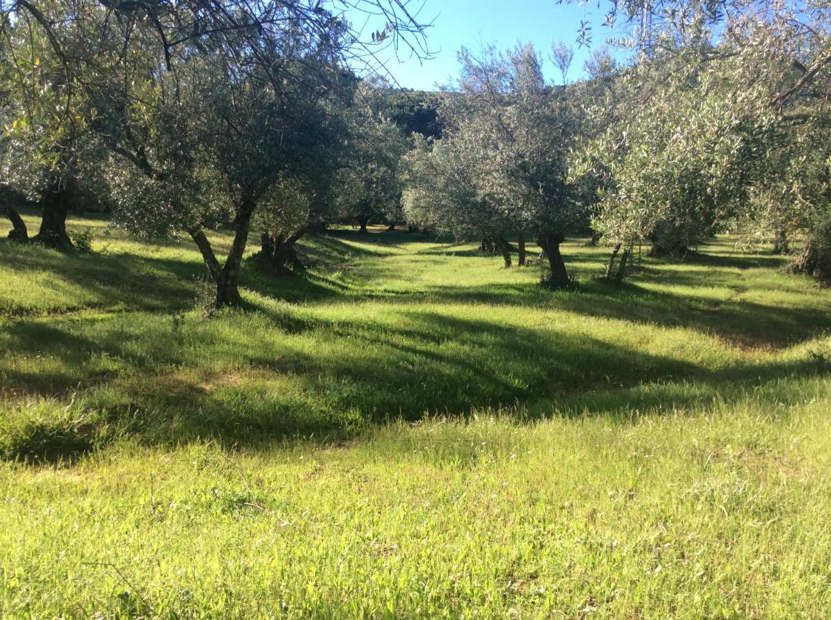 Finca La Favorita- Suites (Adults Only) Constantina Eksteriør billede